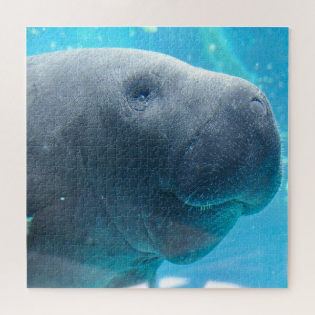 Manatee Jigsaw Puzzle (Horizontal)