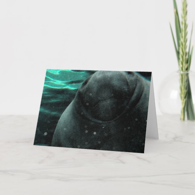 Manatee Kiss Card (Front)