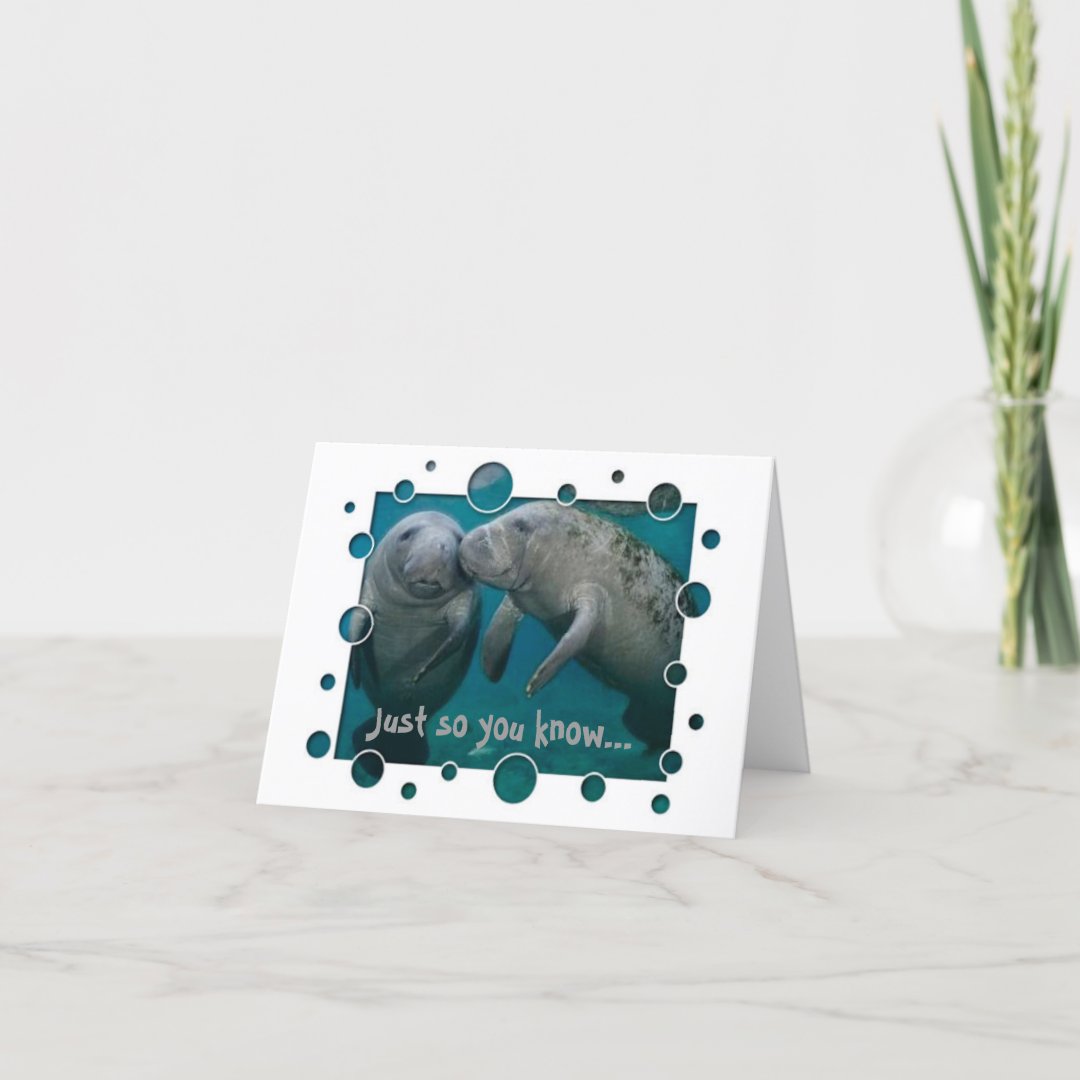 Manatee Love Valentine's Day Holiday Card | Zazzle