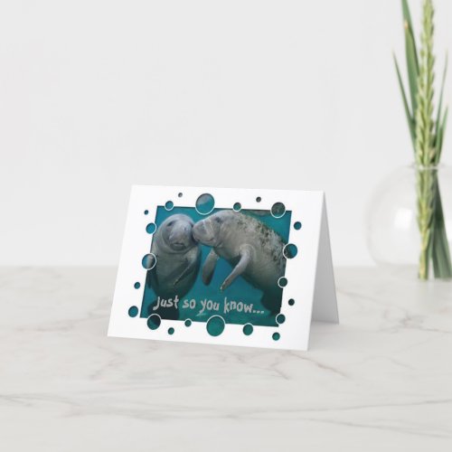 Manatee Love Valentines Day Holiday Card