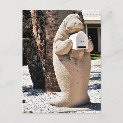 Manatee Mailbox in Florida Photo Postcard