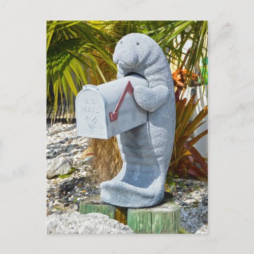 Manatee Mailbox Postcard