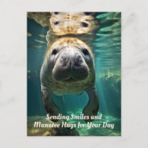 Manatee Marvel: Customizable Manatee