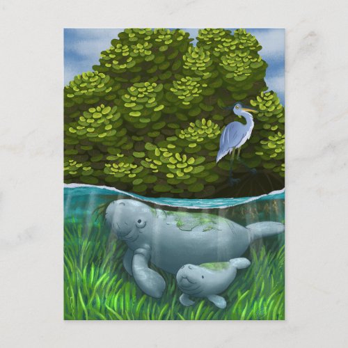 Manatee Mom and Calf Postcard