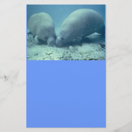 Manatee Moments Stationery