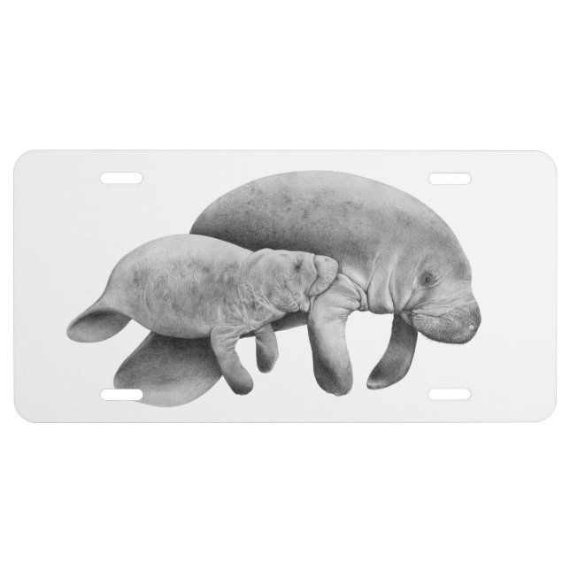 Manatee Mother and Calf License Plate (Front)