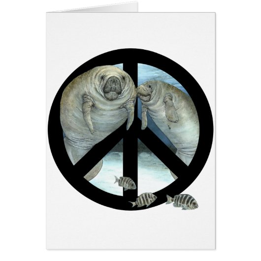 manatee peace cards (Front)
