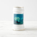 Manatee Photo Beer Stein