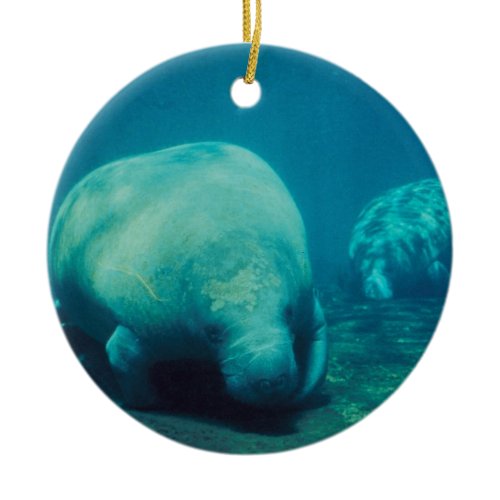 Manatee Photo Ornament