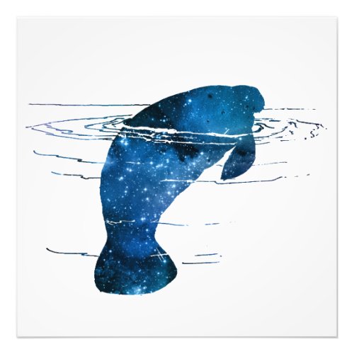 Manatee Photo Print