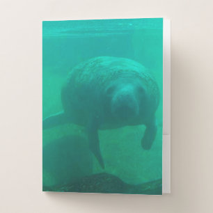 Manatee Pocket Folder