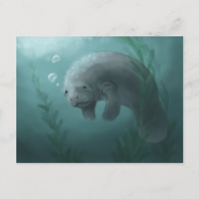 Manatee Postcard (Front)
