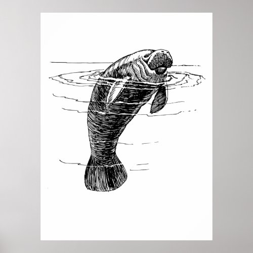 Manatee poster