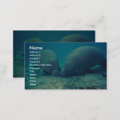 Manatee Rooting in Sand Business Card (Front/Back)