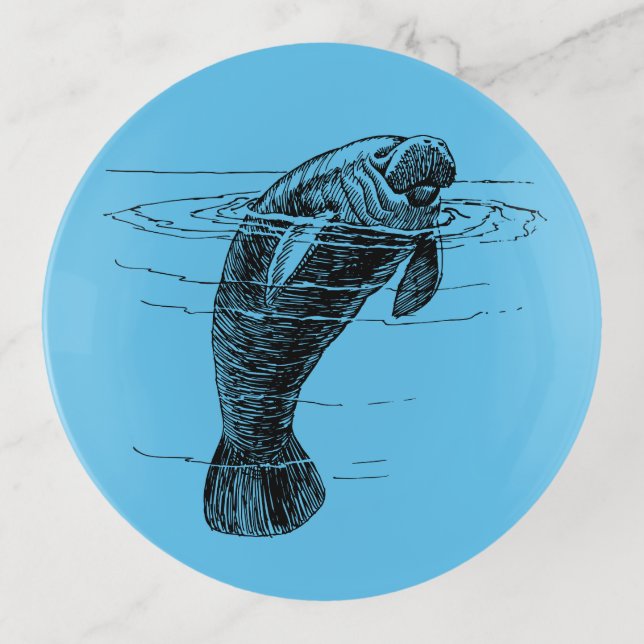 Manatee round trinket tray (Front)