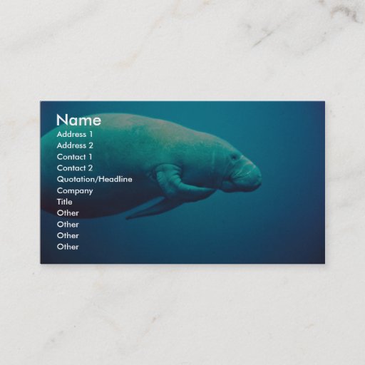 Customizable Manatee Scratching Business Card
