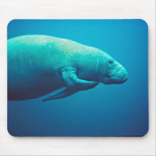 Manatee Scratching Mouse Pad