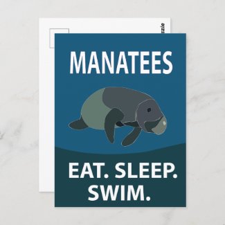 Manatee Sea Cow Animal Manatee
