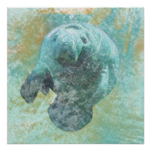 Manatee Sea Cow Art Poster