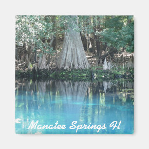 Manatee Springs Fl Magnet