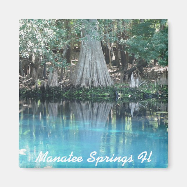 Manatee Springs Fl Magnet (Front)