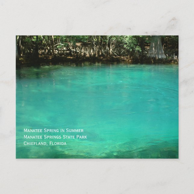 Manatee Springs Postcard (Front)