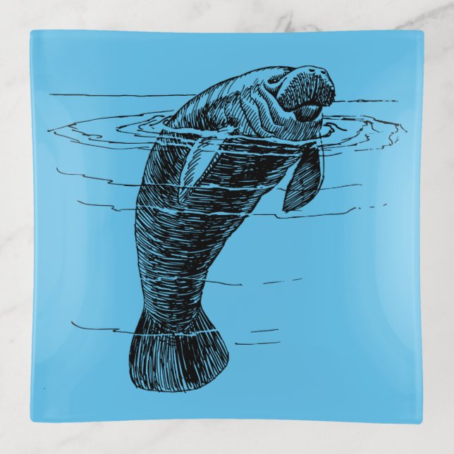 Manatee square  trinket tray (Front)