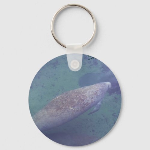 Manatee Swimming Blue Springs Nature Photography Keychain