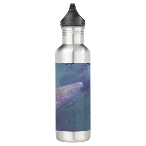 Manatee Swimming Close Up Blue Springs Stainless Steel Water Bottle