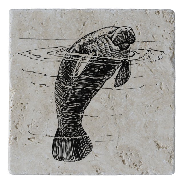 Manatee trivet (Front)