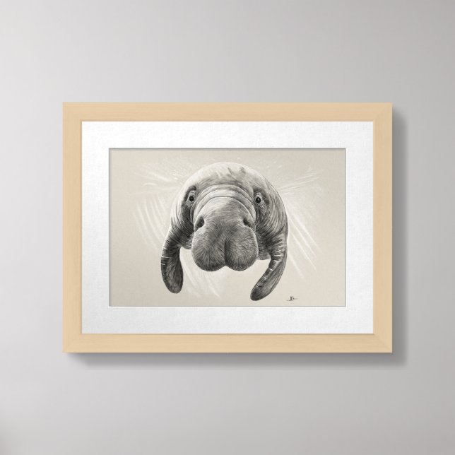 Manatee Wall Art – Handmade Pencil Drawing | Coast (Framed Front)
