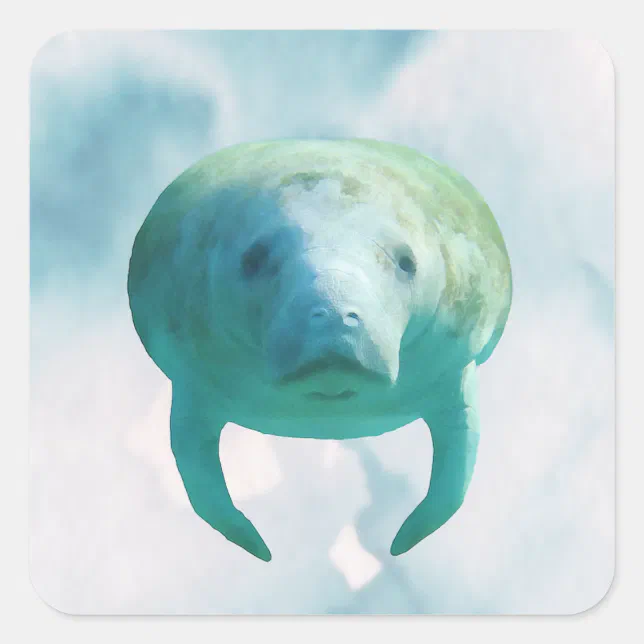 Manatee Watercolor Square Sticker | Zazzle