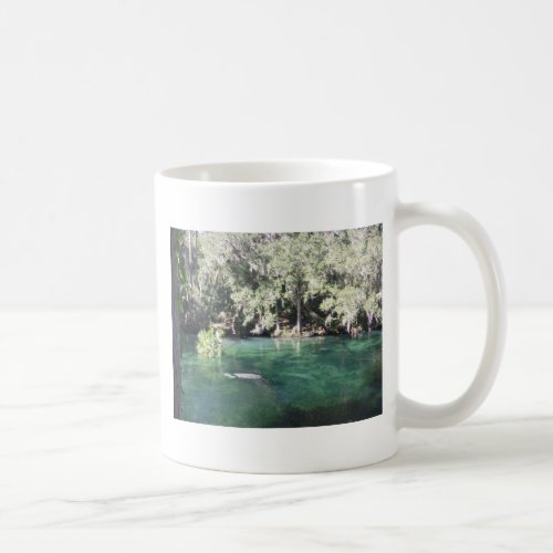 Manatees at Blue Springs Florida Coffee Mug