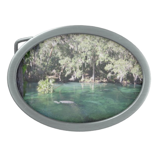 Manatees at Blue Springs Oval Belt Buckle (Front)