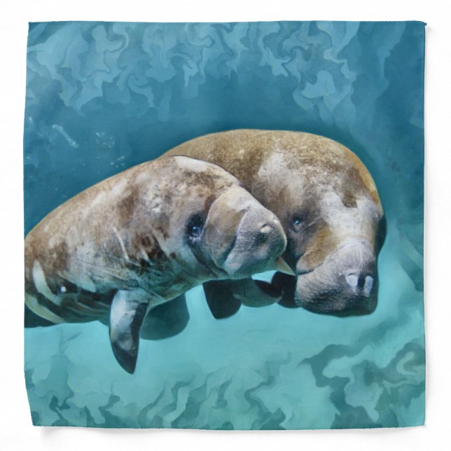 Manatees Bandana (Front)