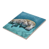 Manatee Tile Manatees Ceramic Tile | Zazzle