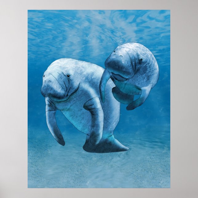 Manatees Poster (Front)