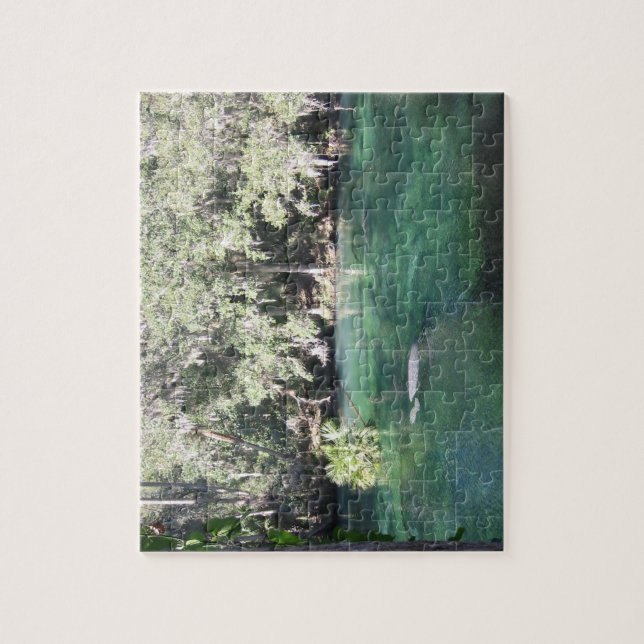 Manatees Swimming Florida Blue Springs State Park Jigsaw Puzzle (Vertical)