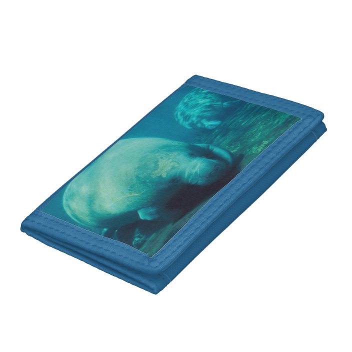 Manatees Trifold Wallet | Zazzle.com