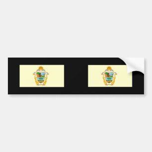 Manaus Amazonas, Brazil Bumper Sticker