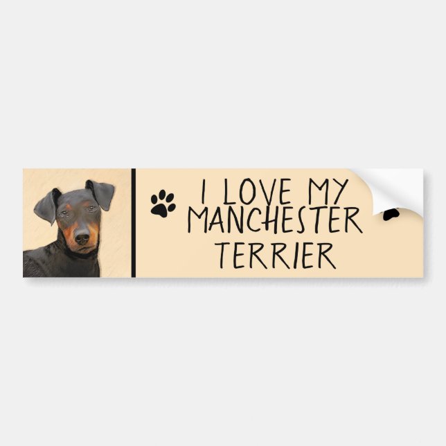 Manchester Terrier Painting Original Animal Art Bumper Sticker (Front)