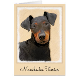 Manchester Terrier Painting Original Animal Art Cards