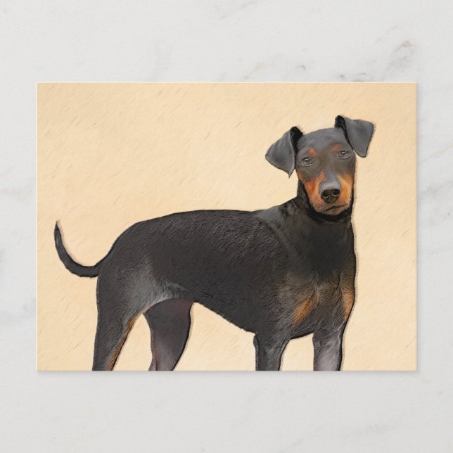 Manchester Terrier Painting Original Animal Art Postcard (Front)