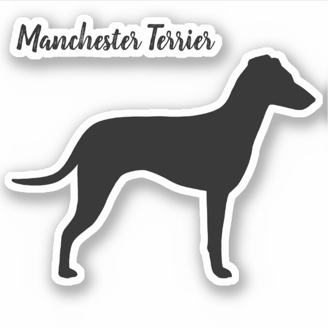 Manchester Terrier Silhouette with Natural Ears Sticker (Front)