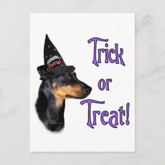 Manchester Terrier Trick Postcard