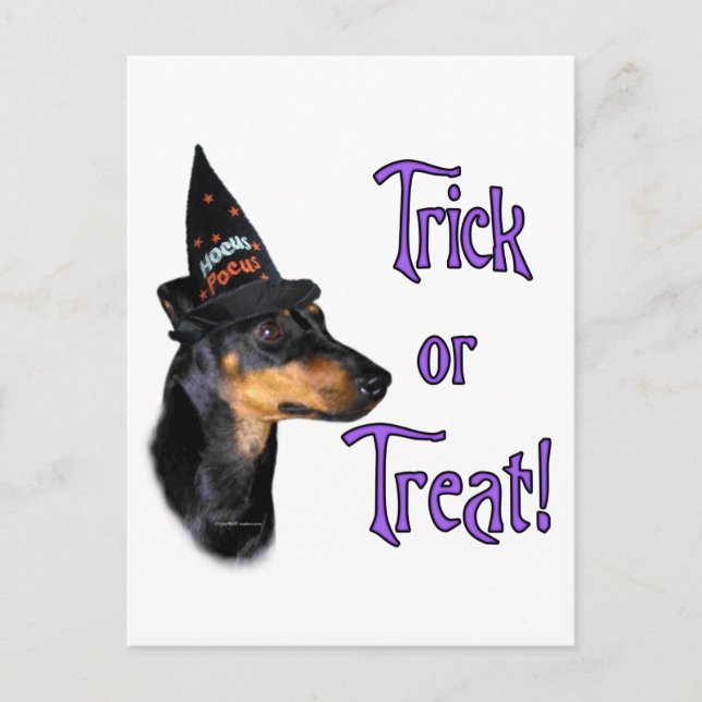 Manchester Terrier Trick Postcard (Front)