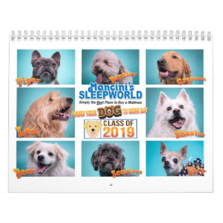 Mancini's Sleepworld 2020 - Calendar