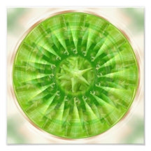 Mandala Design Flower Circle Energy Green Plant