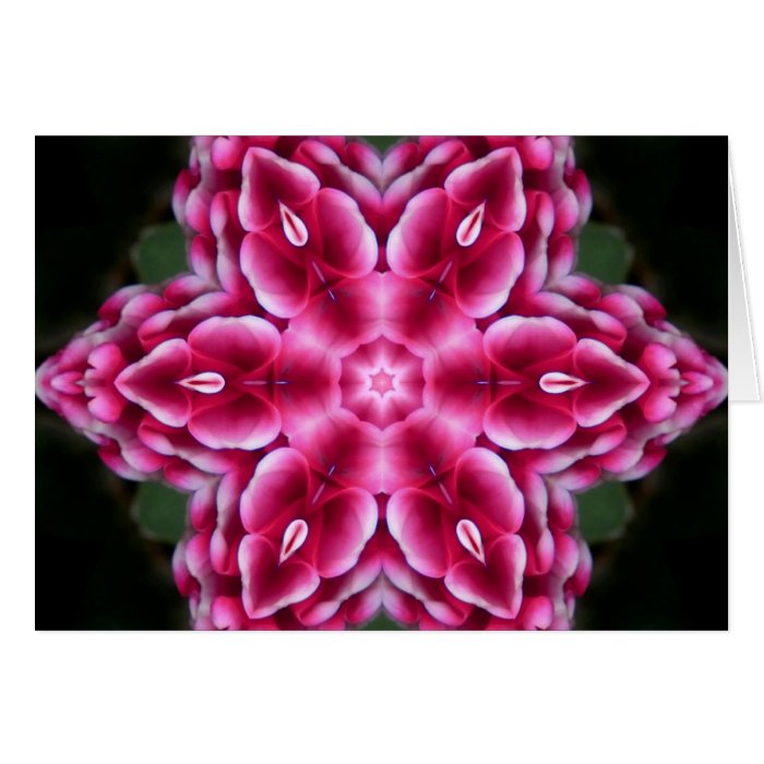 Mandala Flower Star Cards