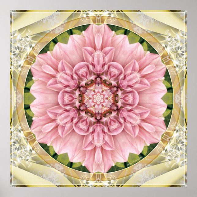 Mandalas from the Heart of Freedom 13 Poster (Front)